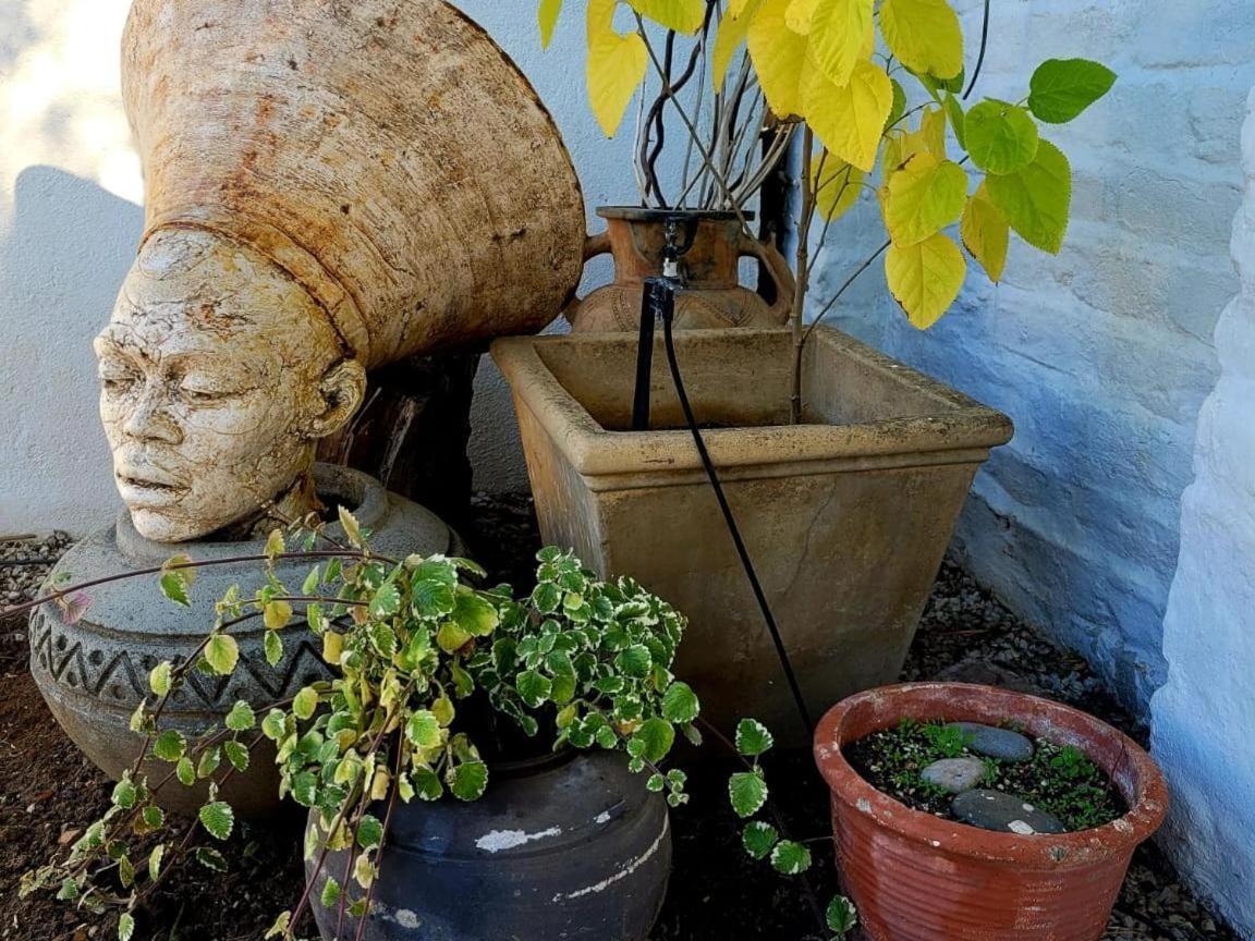 Acacia Home Graaff-Reinet Buitenkant foto